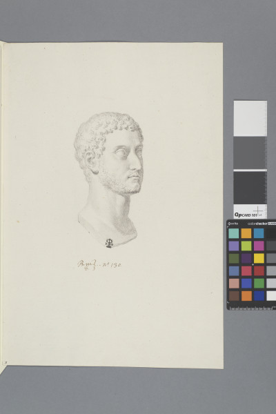 ECL-Bm.8_130-2013 image ECL-Bm.8_130-2013