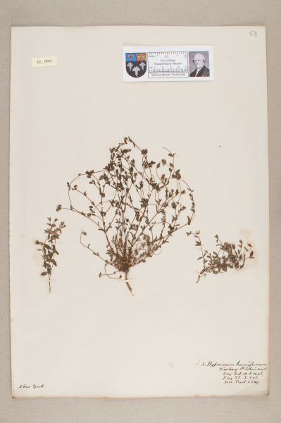 NHM_HH_10.11-2010 image NHM_HH_10.11-2010