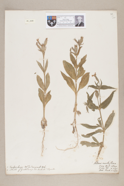 NHM_HH_9.100-2010 image NHM_HH_9.100-2010