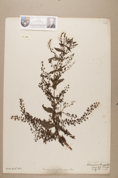 NHM_HH_25.46-2010 image NHM_HH_25.46-2010