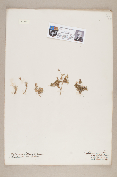 NHM_HH_9.87-2010 image NHM_HH_9.87-2010