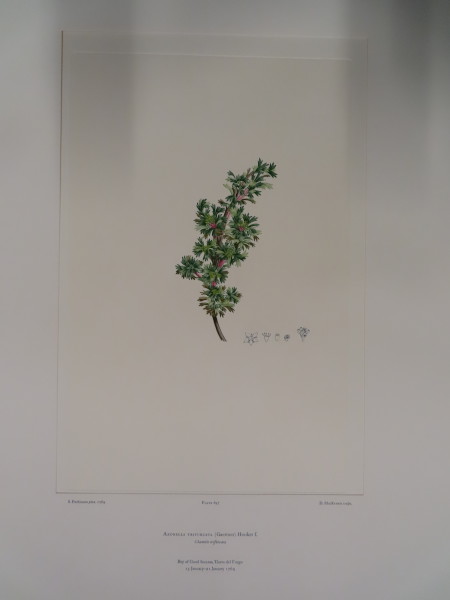 FDA-E.2916_33_6-2016-A image FDA-E.2916_33_6-2016-A