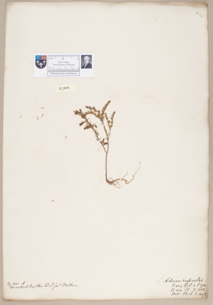 NHM_HH_12.76-2010 image NHM_HH_12.76-2010