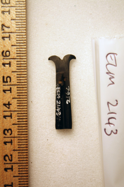 ECM.2143-2010-B image ECM.2143-2010-B