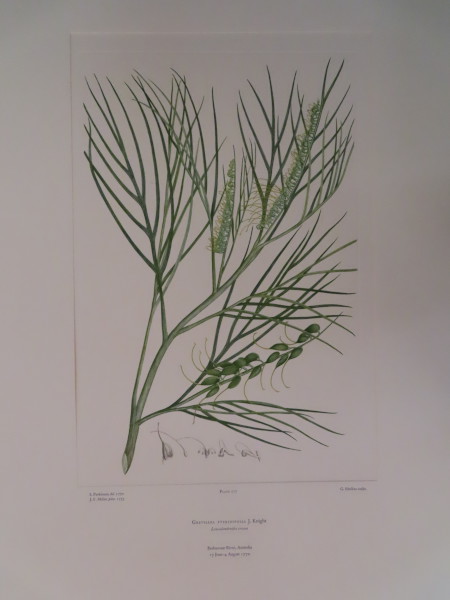 image FDA-E.2916_13_10-2016-A