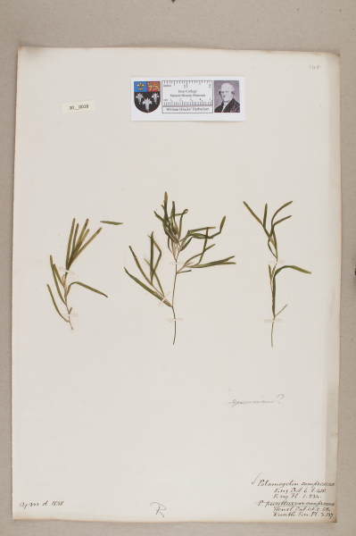 NHM_HH_30.18-2010 image NHM_HH_30.18-2010