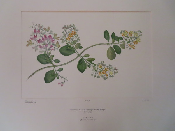 image FDA-E.2916_16_8-2016