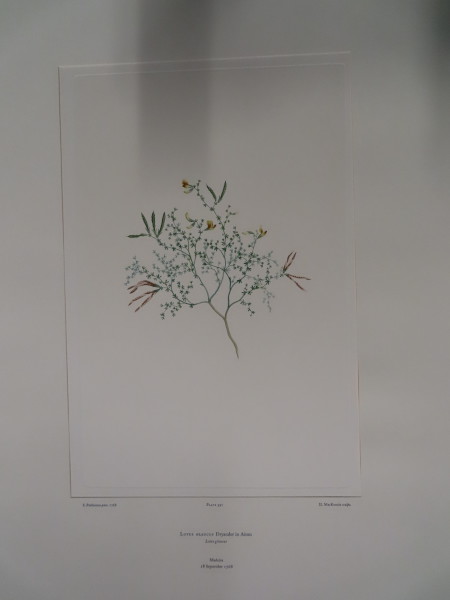 FDA-E.2916_19_4-2016 image FDA-E.2916_19_4-2016