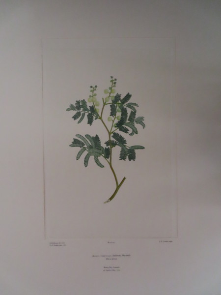 image FDA-E.2916_5_8-2016