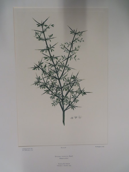 image FDA-E.2916_21_6-2016