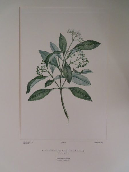 FDA-E.2916_7_19-2016 image FDA-E.2916_7_19-2016