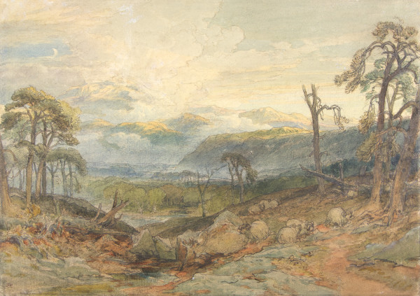 FDA-D.333-2010 image FDA-D.333-2010