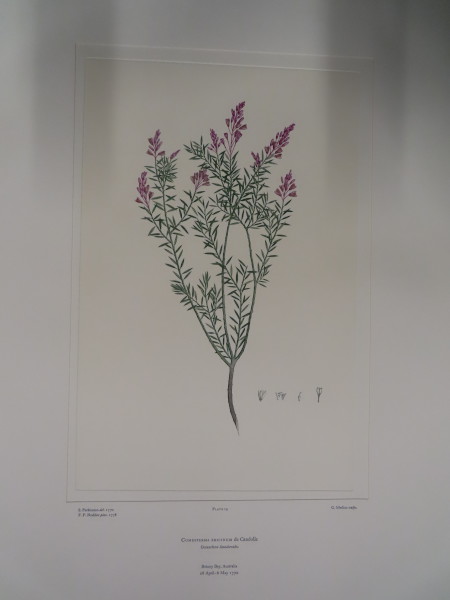 image FDA-E.2916_1_22-2016