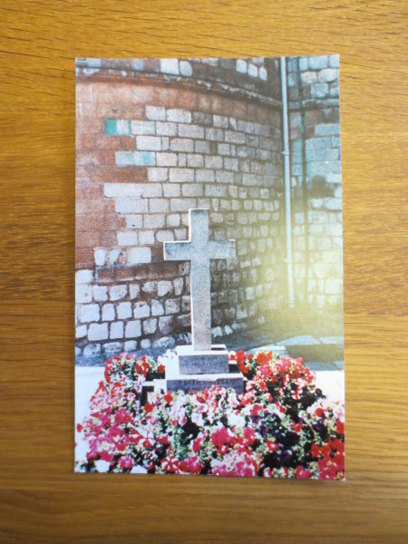 ECL-O.50_3-2013 image ECL-O.50_3-2013