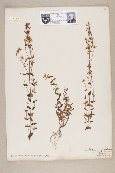 NHM_HH_10.20-2010 image NHM_HH_10.20-2010