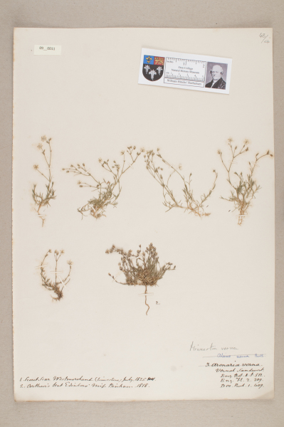 NHM_HH_9.11-2010 image NHM_HH_9.11-2010