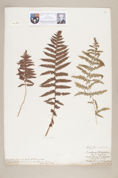 NHM_HH_4.32-2010 image NHM_HH_4.32-2010