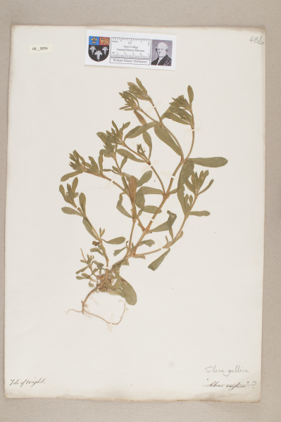 NHM_HH_9.96-2010 image NHM_HH_9.96-2010