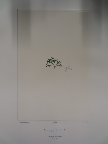 image FDA-E.2916_34_10-2016