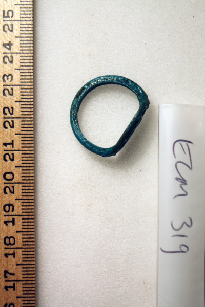 ECM.319-2010-B image ECM.319-2010-B