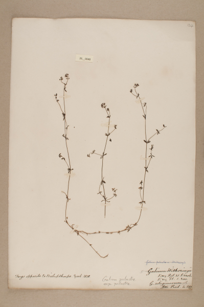 NHM_HH_26.48-2010 image NHM_HH_26.48-2010