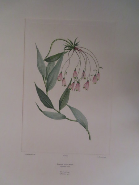 image FDA-E.2916_16_25-2016-A