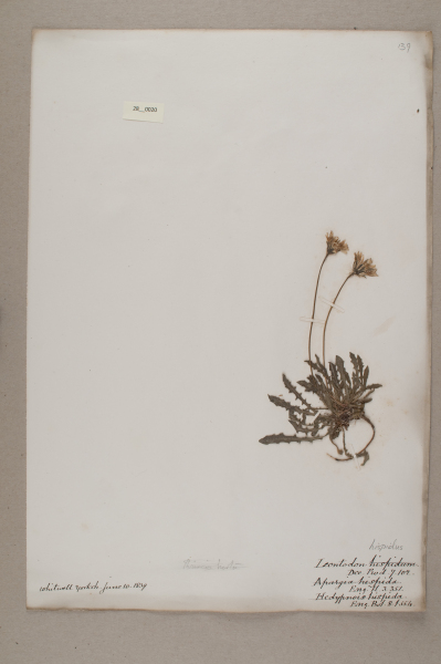 NHM_HH_28.20-2010 image NHM_HH_28.20-2010