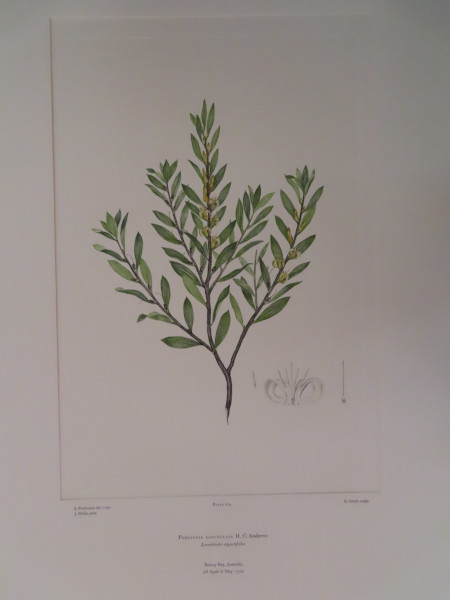 FDA-E.2916_13_7-2016-A image FDA-E.2916_13_7-2016-A