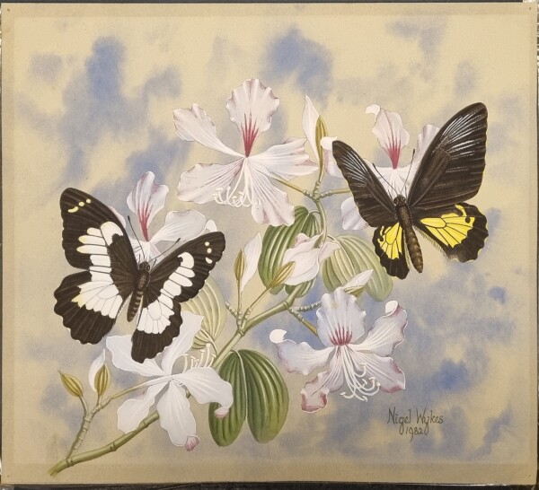 FDA-D.1787-2025 image FDA-D.1787-2025