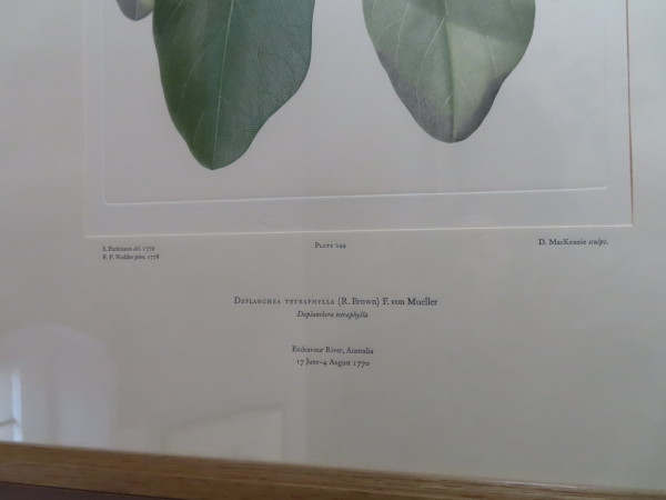 FDA-E.2916_11_22-2016-B image FDA-E.2916_11_22-2016-B