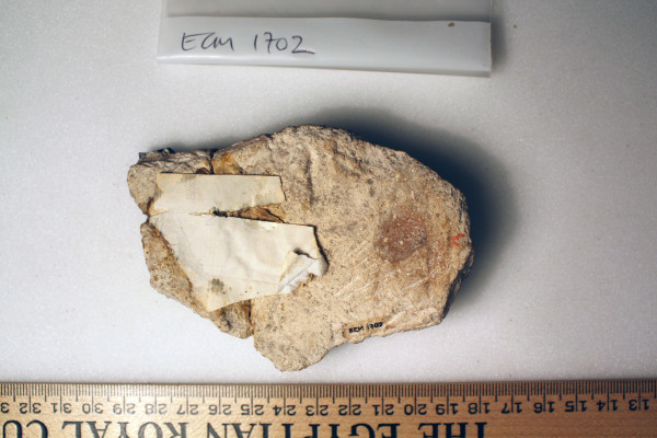 ECM.1702-2010-B image ECM.1702-2010-B