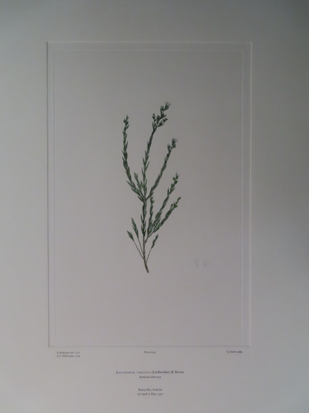 image FDA-E.2916_9_16-2016-A