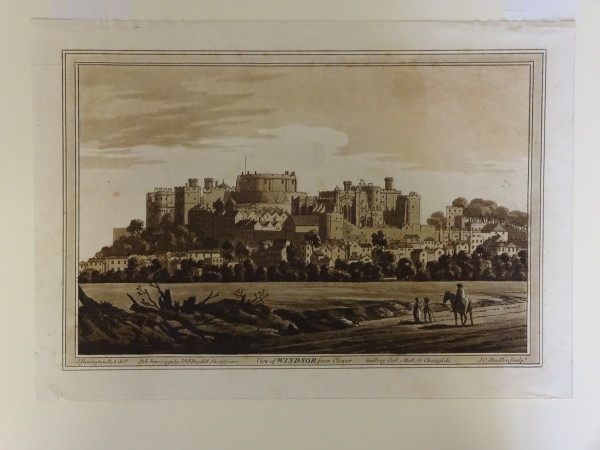 FDA-E.2803-2016 image FDA-E.2803-2016