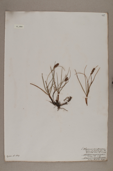 NHM_HH_32.34-2010 image NHM_HH_32.34-2010