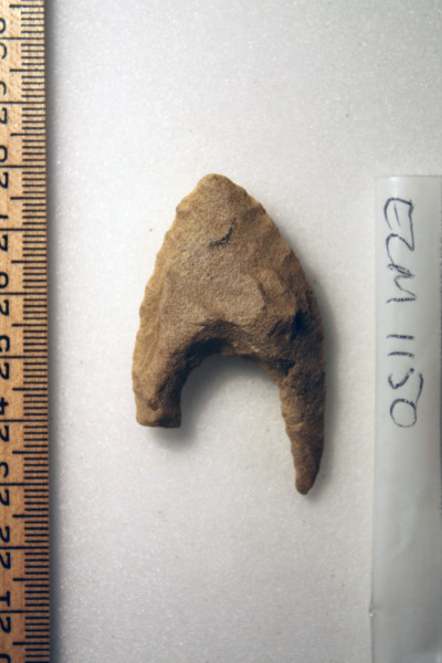 ECM.1150-2010-A image ECM.1150-2010-A