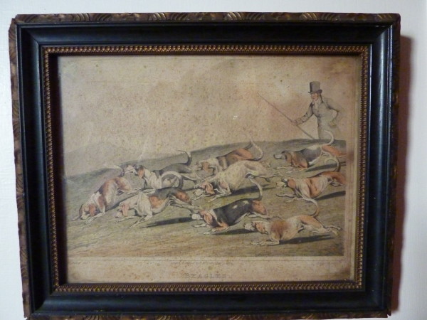 image FDA-E.576-2013