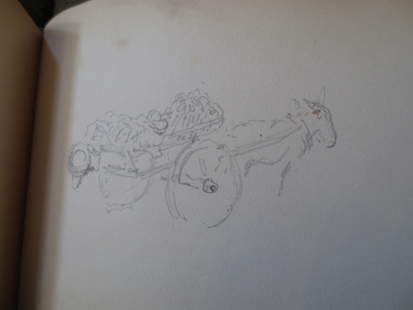 FDA-V.4-2016-R image FDA-V.4-2016-R