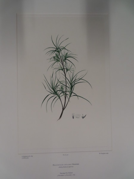 image FDA-E.2916_24_12-2016-A