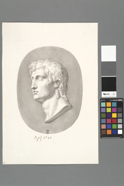 ECL-Bn.1_88-2013 image ECL-Bn.1_88-2013