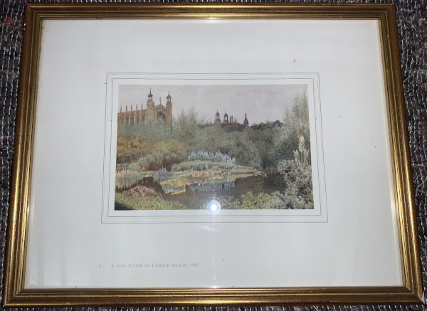 FDA-E.3173_6-2020 image FDA-E.3173_6-2020