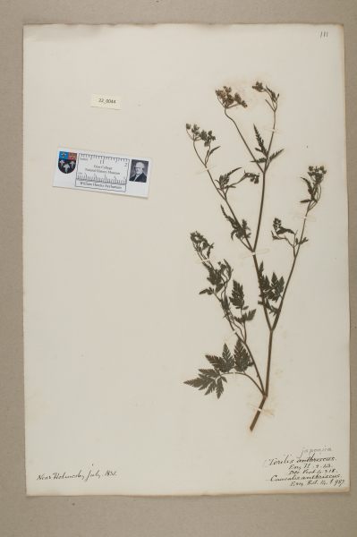 NHM_HH_22.44-2010 image NHM_HH_22.44-2010