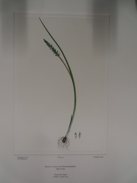 image FDA-E.2916_26_18-2016-A