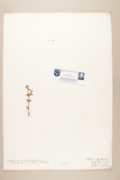 NHM_HH_23.90-2010 image NHM_HH_23.90-2010