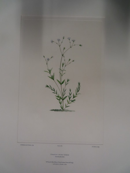 image FDA-E.2916_32_11-2016