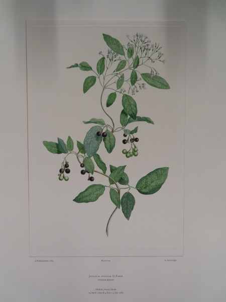 image FDA-E.2916_29_16-2016-A