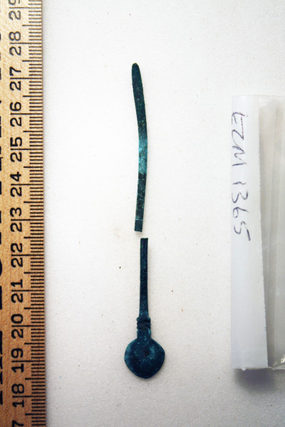 ECM.1365-2010-B image ECM.1365-2010-B