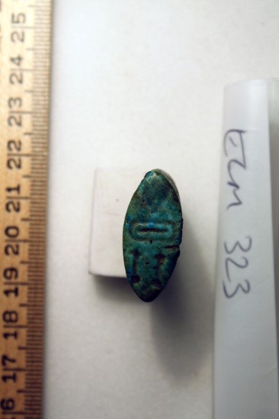 ECM.323-2010-A image ECM.323-2010-A