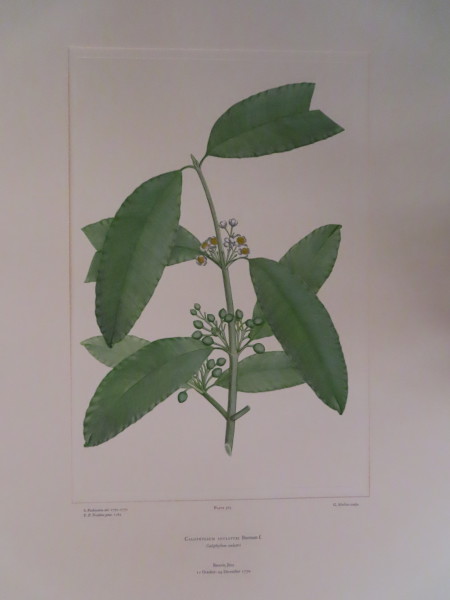 image FDA-E.2916_17_5-2016