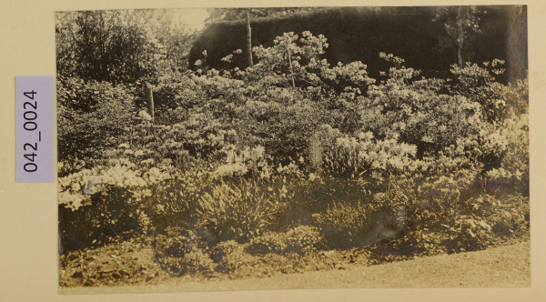 PA-A.42_24-2013 image PA-A.42_24-2013