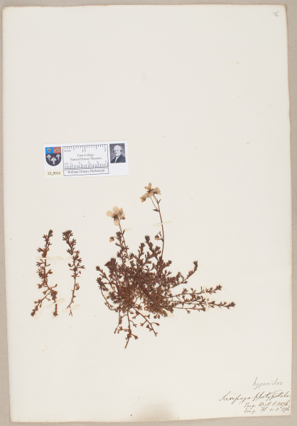 NHM_HH_13.12-2010 image NHM_HH_13.12-2010